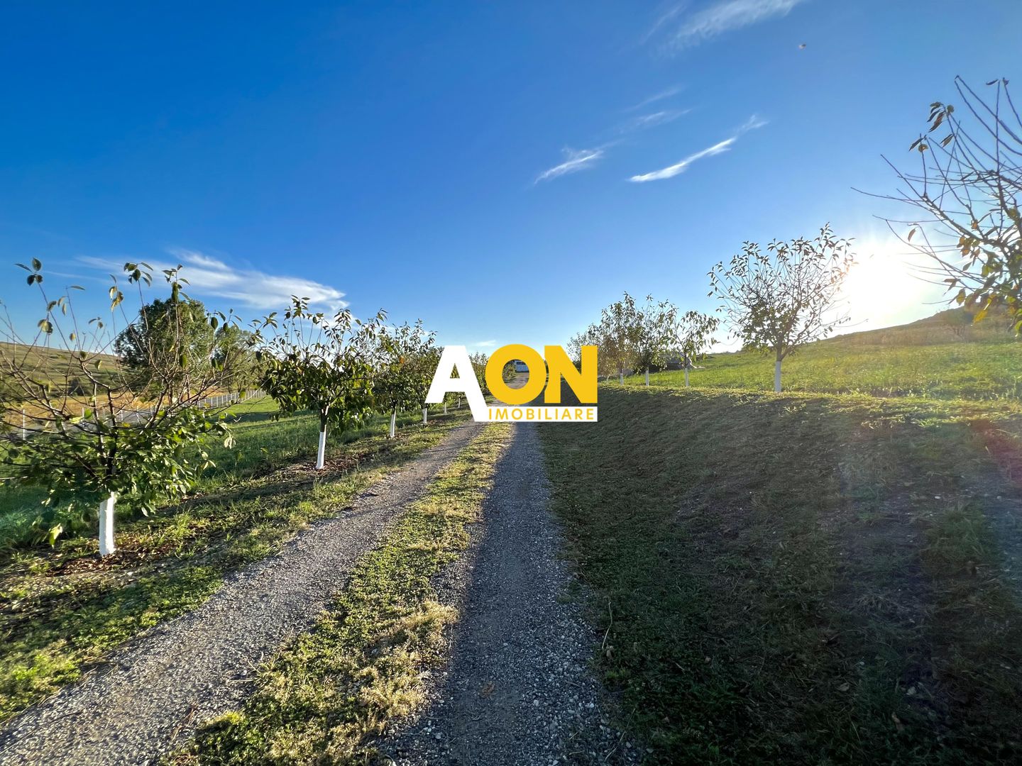 Ferma de vanzare cu 550MP utili si 27.500MP teren la asfalt - Poză 19