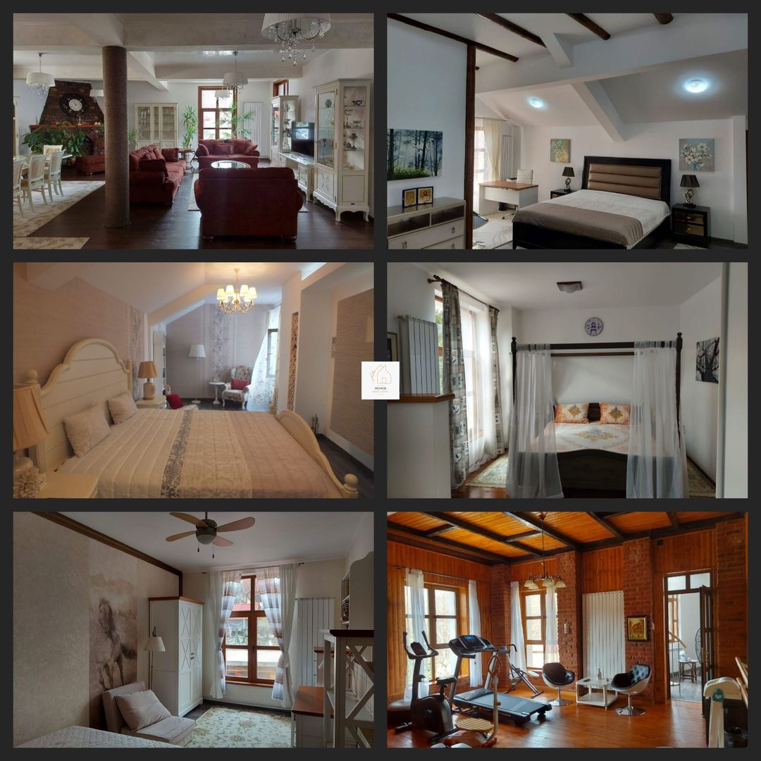 Vila Horezu Romanii de Jos - Poză 4