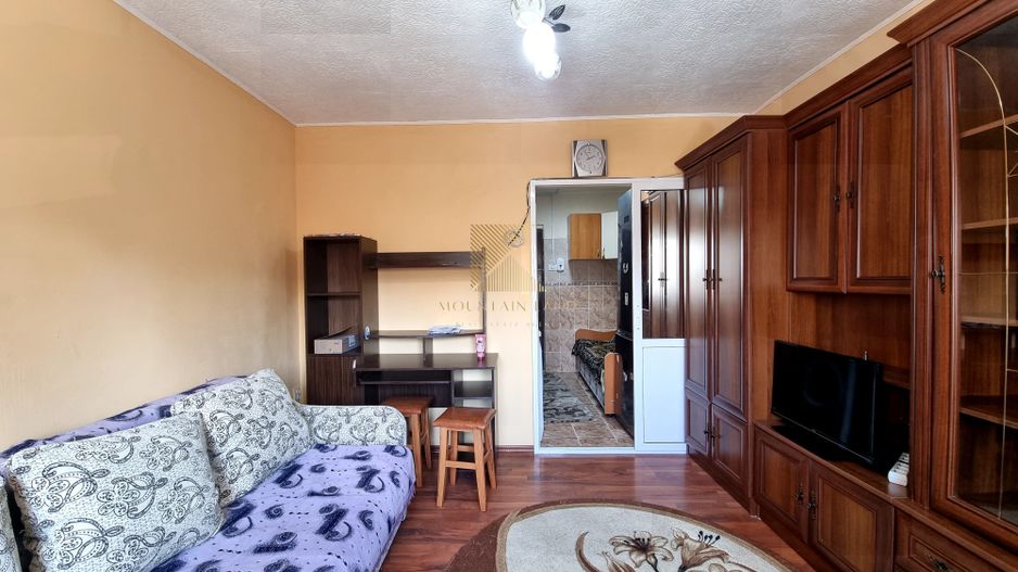 Garsoniera 24 mpu | mobilata | etaj 1 | Zizinului - Poză 6