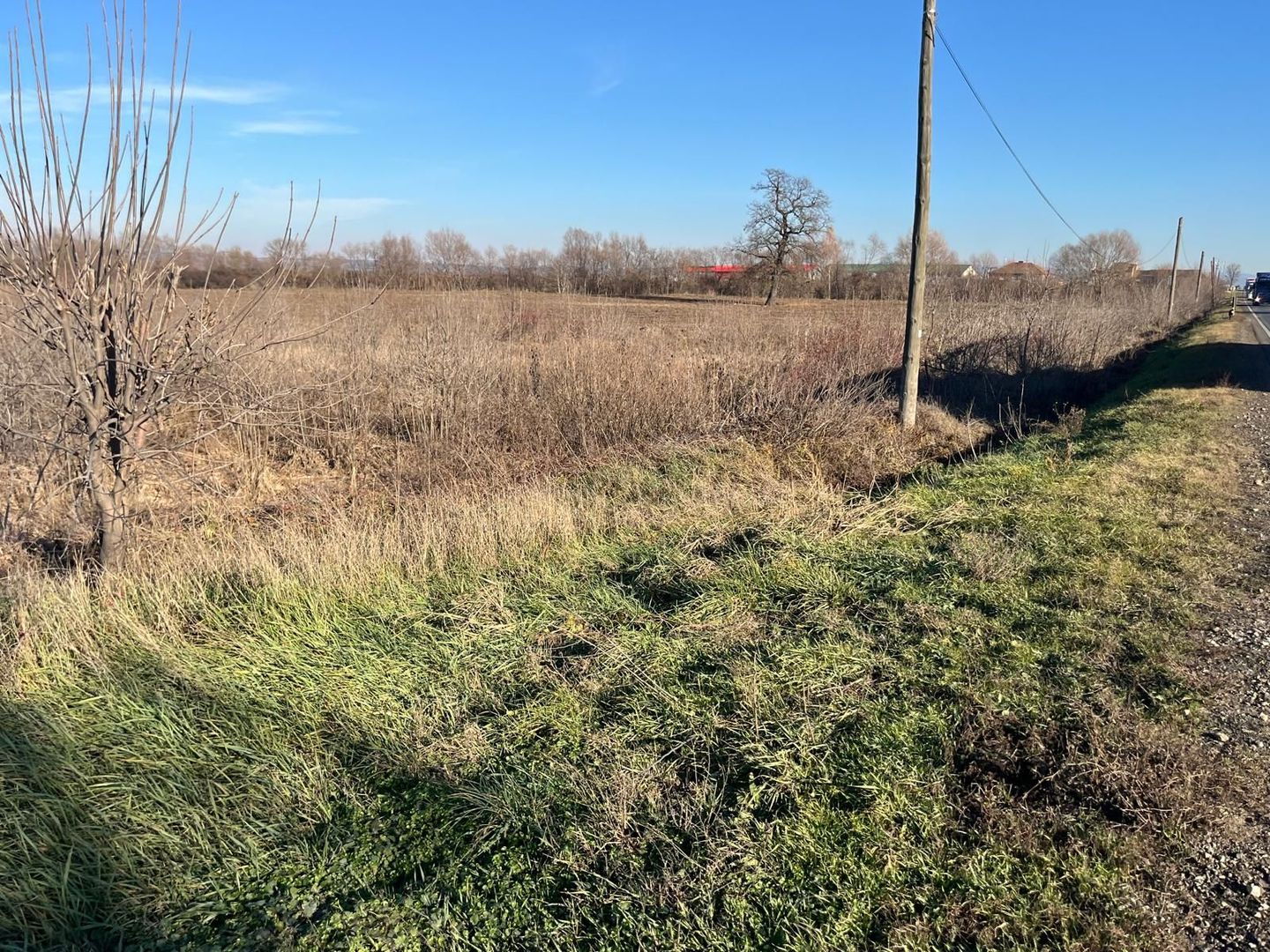 Teren intravilan, Săcădat, 27 921 mp. 9,5 Euro/mp. Comision 0. - Poză 4