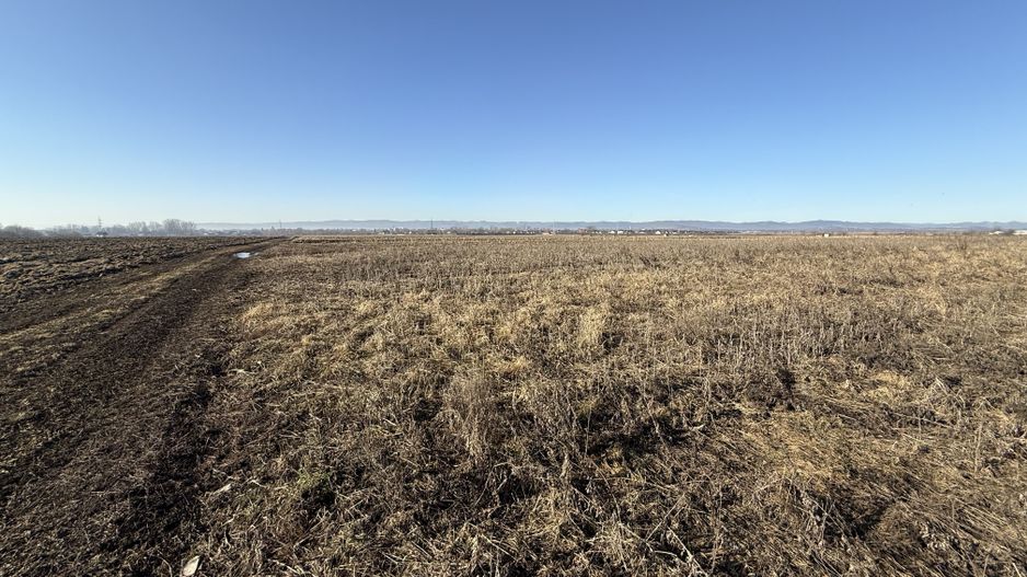 Teren extravilan | Rădăuți | 600 m de centură | 20 m front - Poză 6