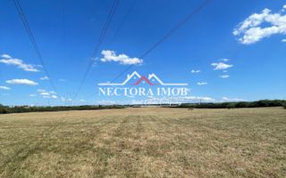 NECTORA IMOB-Teren Zona Osorhei, 5500 mp, 21 ml Front, 210 ml adancime - Poză 3