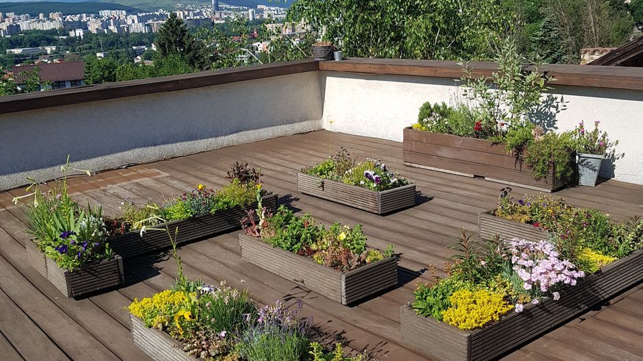 De inchiriat! Casă deosebita in Gruia, panorama spectaculoasa! - Poză 2