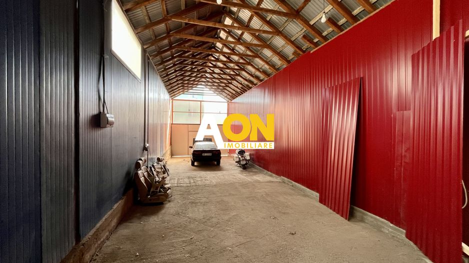 Hala de inchiriat, Cetate - Poză 2