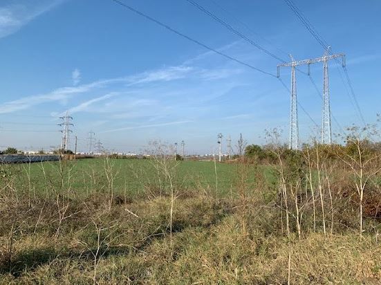 teren Popesti - Leordeni - Poză 2