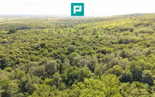 TEREN AGRICOL EXTRAVILAN  22.900 MP LIPOVA - Poză 11