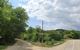 Teren intravilan de vanzare 3.000mp + 20.000mp extravilan - Poză 1