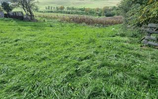 De vanzare 4003mp teren , Oarda de Sus - Poză 4