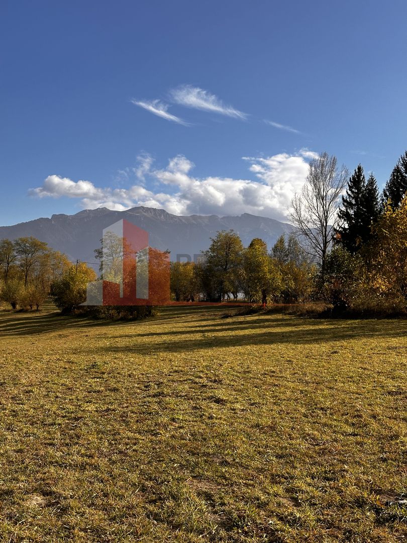 Teren intravilan 500 mp | Tohanița, Bran | Vedere  | Ideal pentru caban - Poză 2