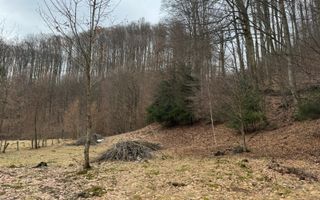 Teren extravilan de vânzare | 1402 mp | Blidari | zonă superbă - Poză 1