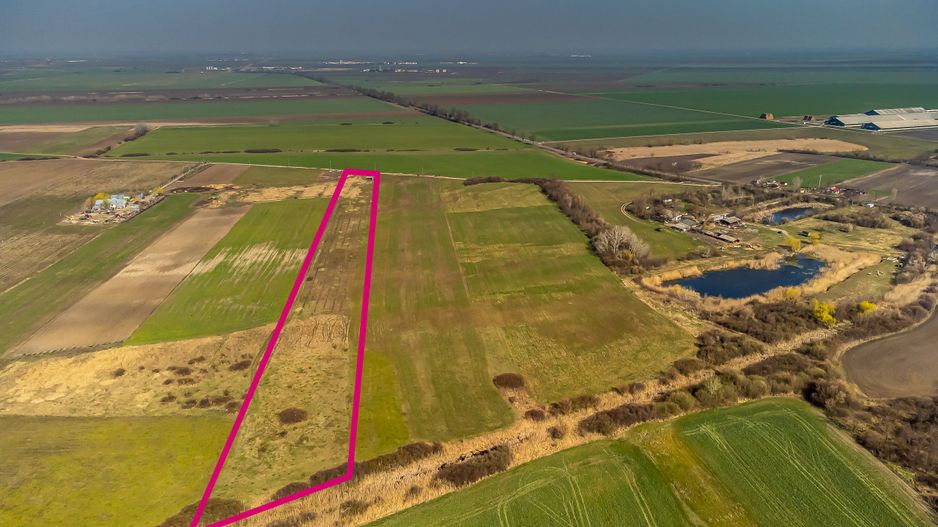 Teren Agricol Extravilan 14300 mp - Poză 4