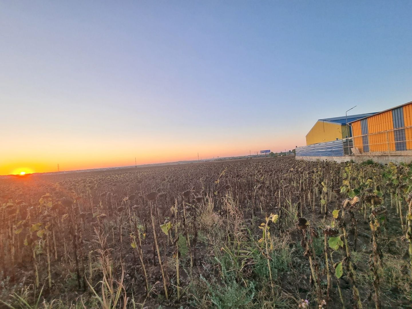 Teren extravilan lângă I&M Polux, pe drumul spre Limanu - Poză 1