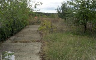 Casa Vacanta Izvorani - Poză 5