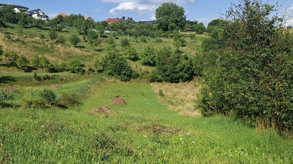 Teren de vânzare in Feleacu - Poză 2