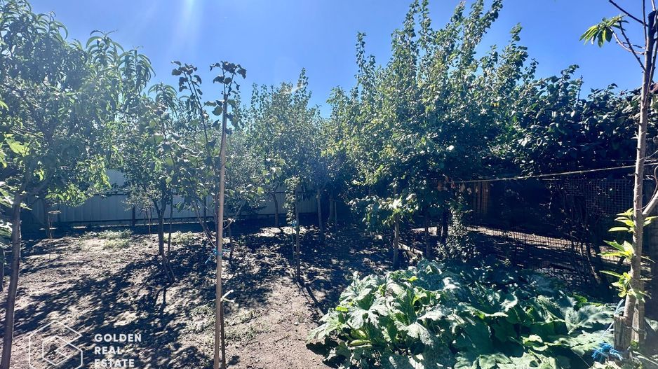 Casa cu teren 525 mp  în Bujac – Petru Maior, comision 0% - Poză 9