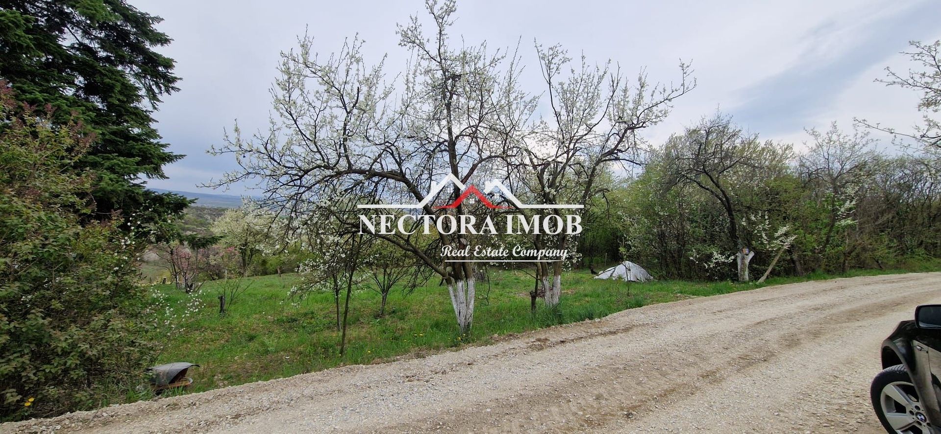 NECTORA IMOB-Teren Zona Podgoria,3400 mp (Intravilan + Extravilan) - Poză 4