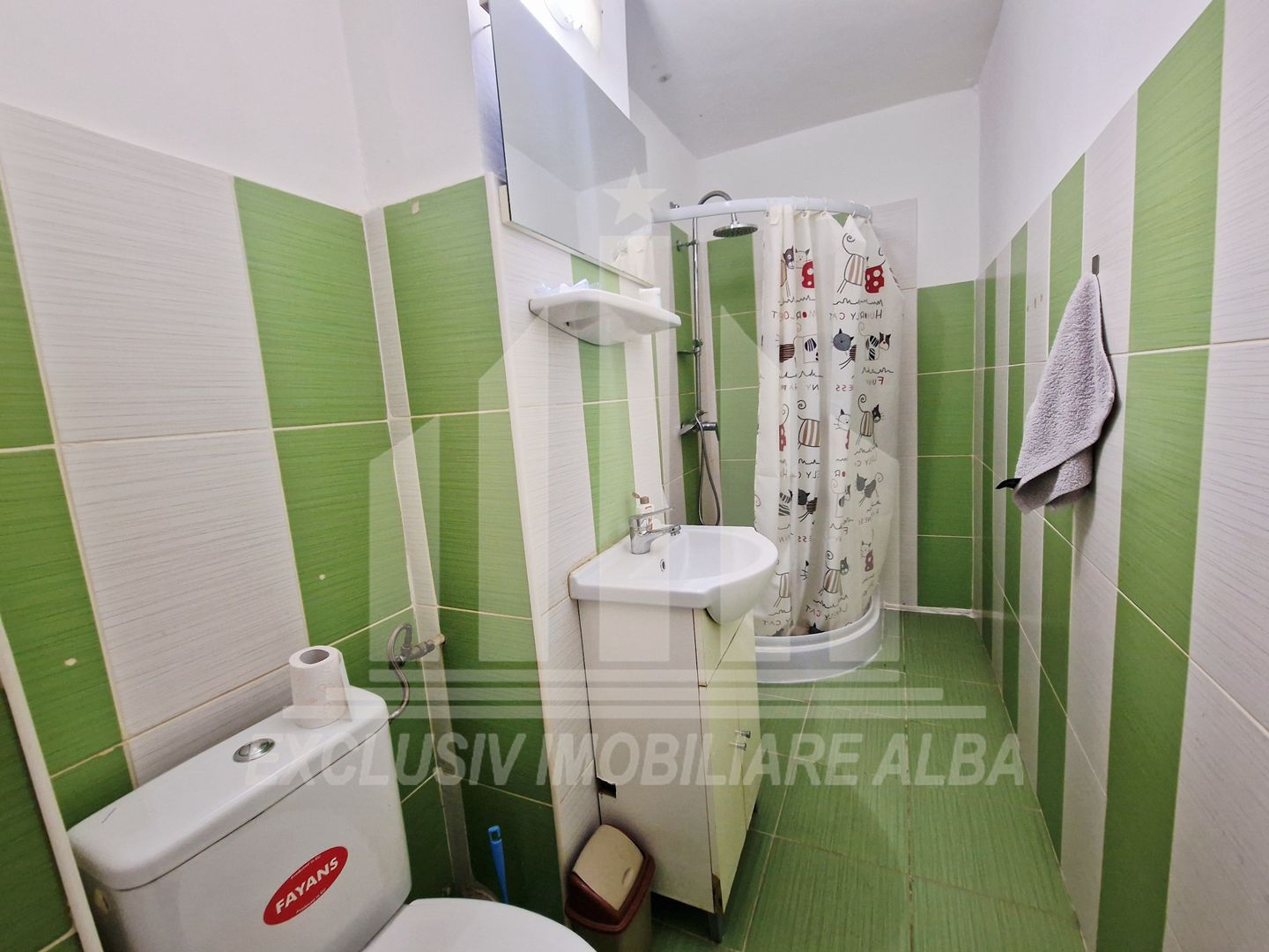 Apartament cu 3 camere, etajul 1, Cetate - zona Liceul Sportiv - Poză 8