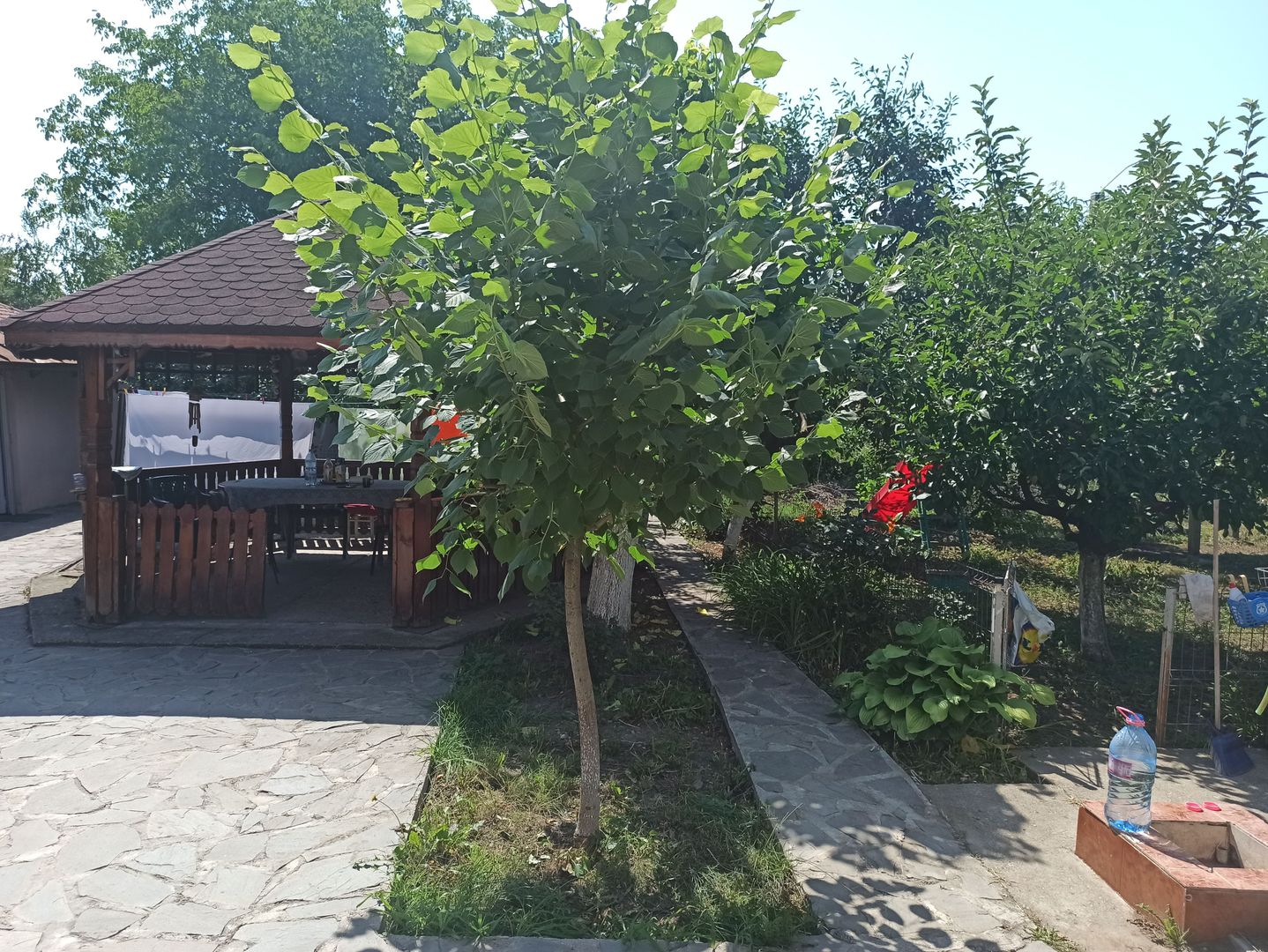 vila indiv+1198mp teren/pe DN4(sosBucuresti) in Frumusani/jud.Calarasi - Poză 93