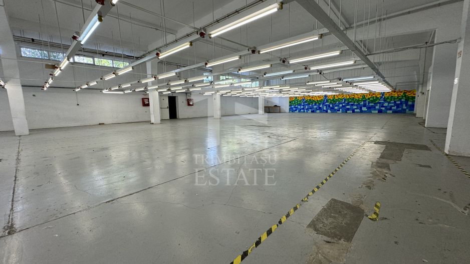 Hala productie P+1 si apartament de serviciu Navodari - c-tie beton - Poză 5