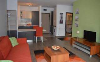 Apartament de închiriat | Platinia Mall | UMF | USAMV - Poză 4
