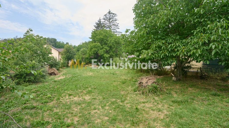 Teren 2240 mp intravilan + casa batraneasca Hintesti-Basangesti - Poză 8