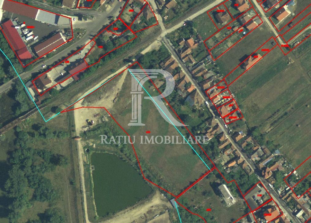 EXCLUSIV | TEREN INTRAVILAN | INVESTIȚIE | BEIUȘ – STR. PLOPILOR | 13.500 MP - Poză 8