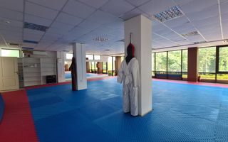 Cladire mixta - cu chiriasi- 1053 mp #plus-imo.ro - Poză 2