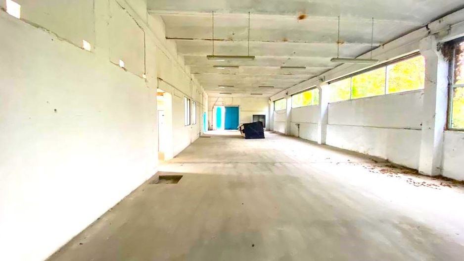 Hala de productie sau depozitare in Lugoj - Poză 1