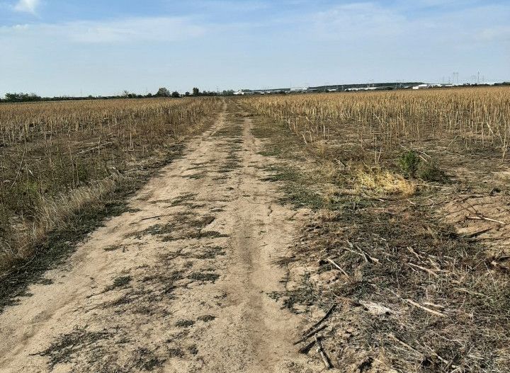 Teren, zona industriala, in Domnesti. Tarlaua 7, depozitele Logistics Park, A1 - Poză 2