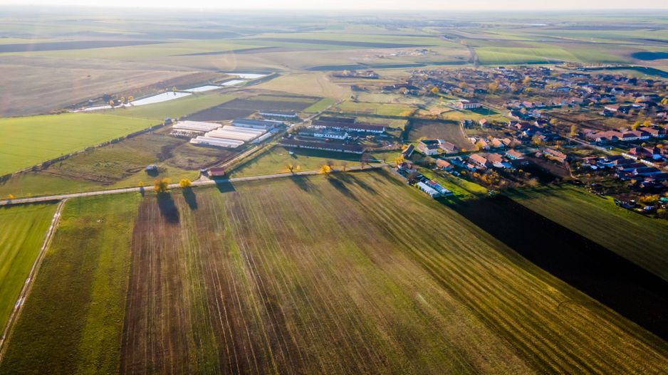 Teren agricol 130 ha Cruceni - Poză 2