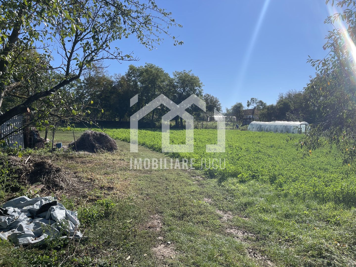 Teren Intravilan 1000mp - Jucu de Sus - Poză 3