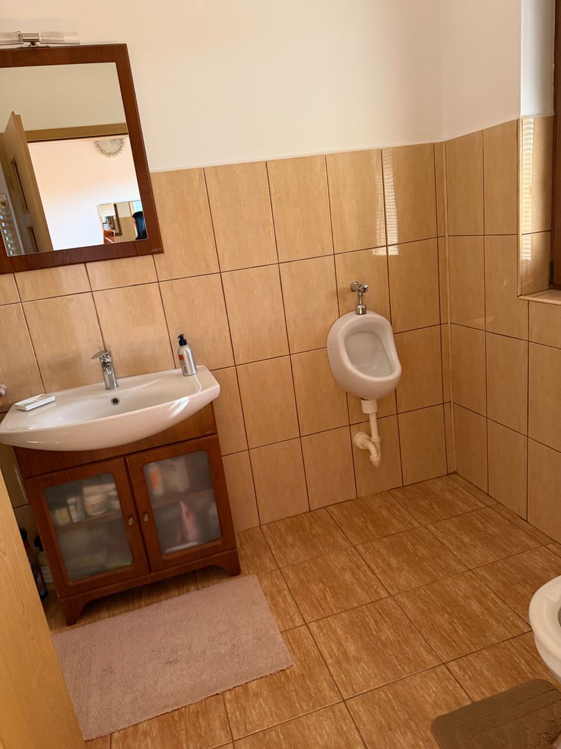 Casa individuala Dumbrăvița - Poză 11