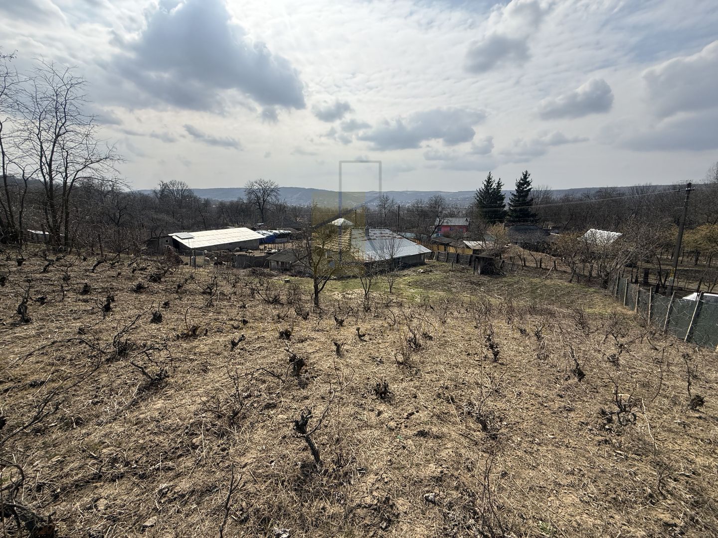 Teren intravilan Dobrovat + Casa Batraneasca - Poză 6