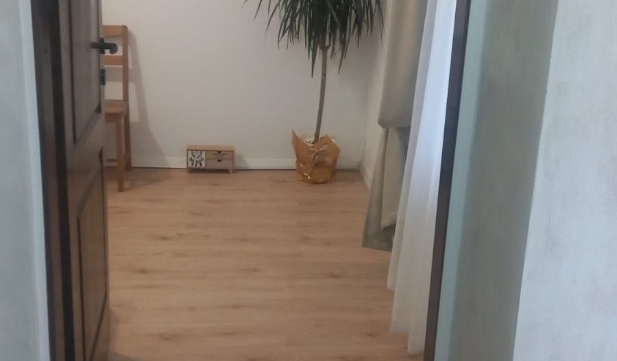 Apartament superb, 2 camere, Piata Muncii - Poză 6