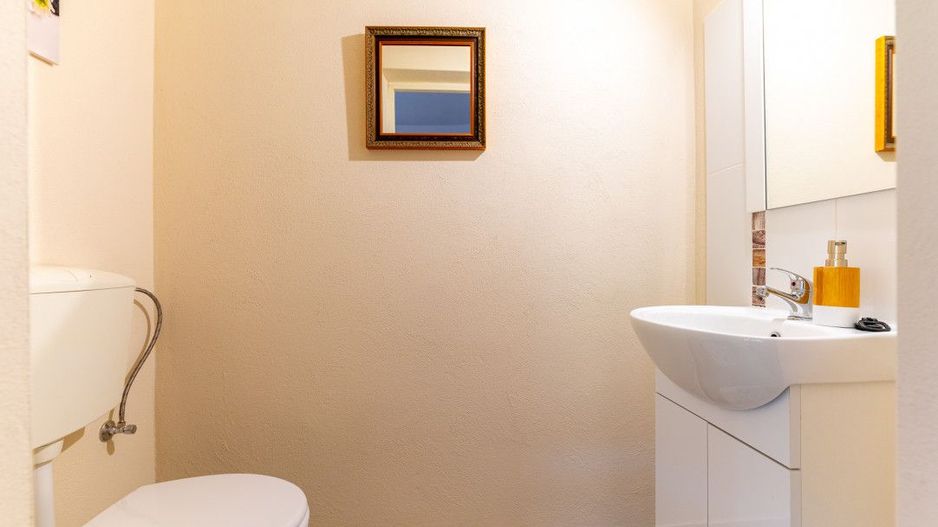 Casa + Pensiune deosebita - Orlat, Sibiu - Poză 13