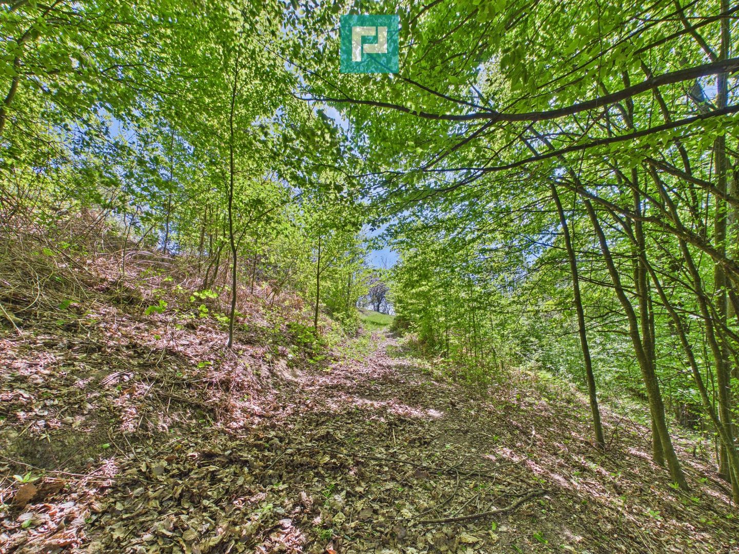 Proprietate rară cu 24.270 mp, în Măgulicea, Arad! - Poză 31