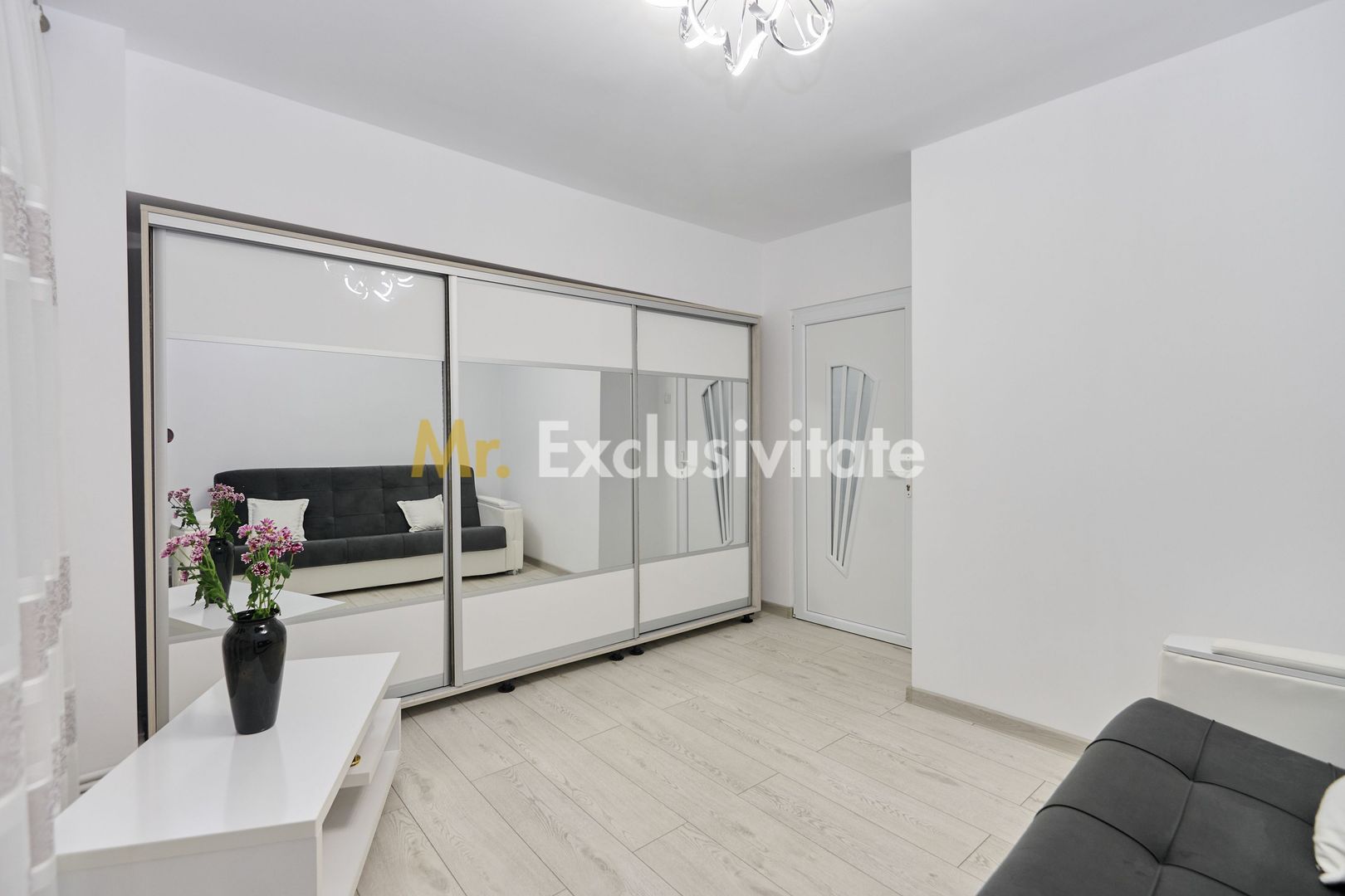 Garsonieră decomandată - Complet renovată -  Parter – Prundu - Poză 3