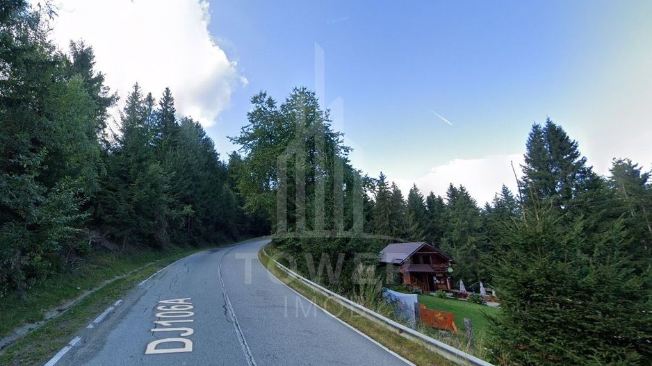 Teren INTRAVILAN 3.000mp | Păltiniș OPORTUNITATE - Poză 4