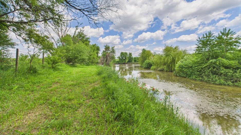 Teren cu baltă- oportunități multiple la Fibiș - Poză 17