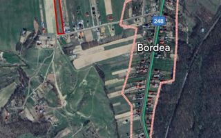 Teren intravilan 7.200 m2, Bordea, Grajduri, ideal case/ investitie - Poză 8