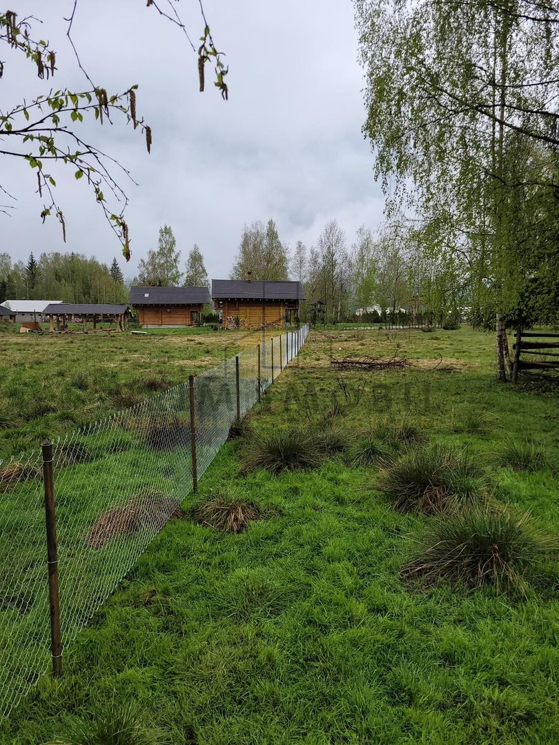 Teren Saru Dornei / Neagra Sarului - oportunitate investitie - Poză 4