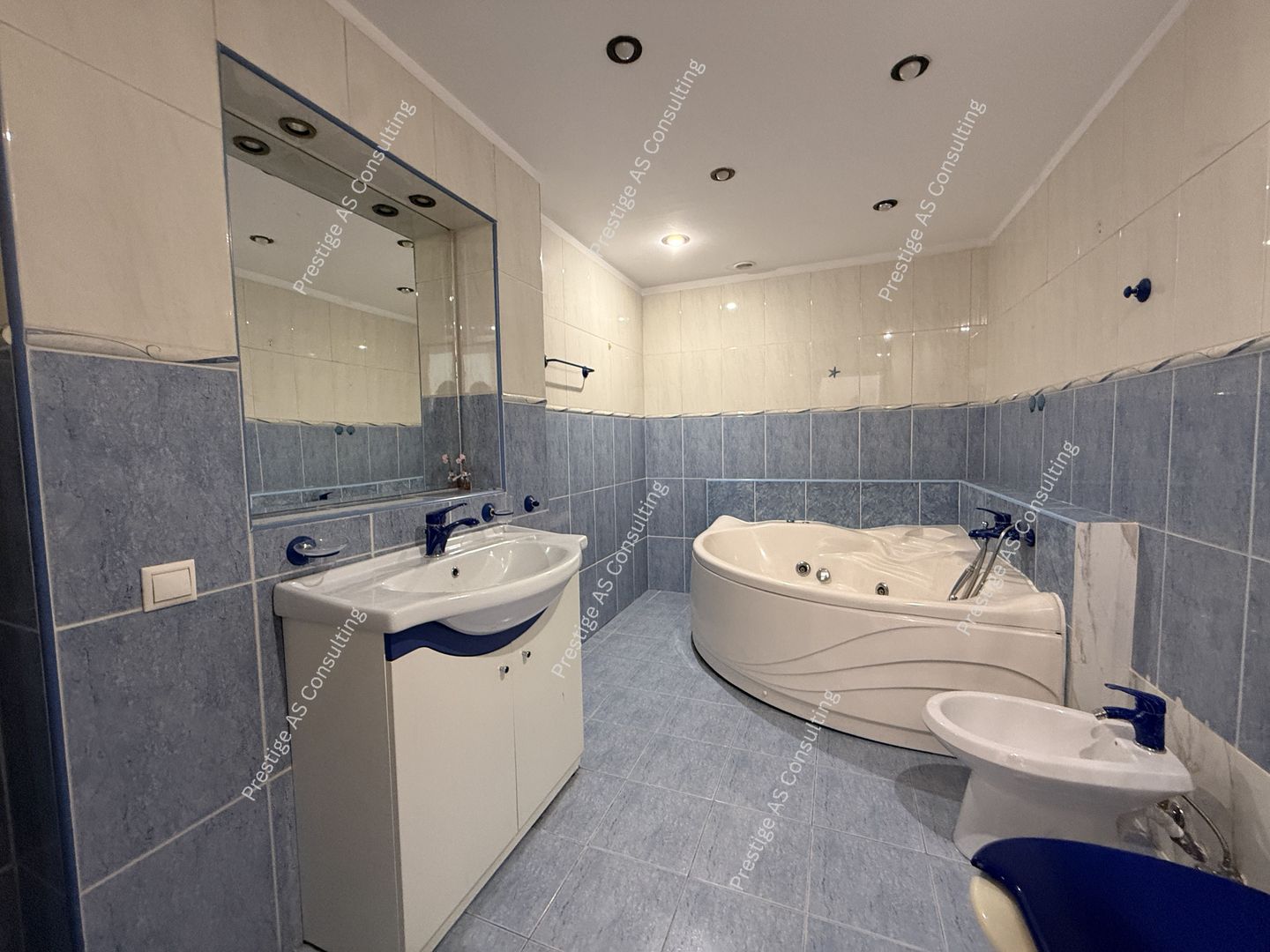 Proprietate versatila | 271 mp utili | renovata complet – Elisabetin, Porumbescu - Poză 19