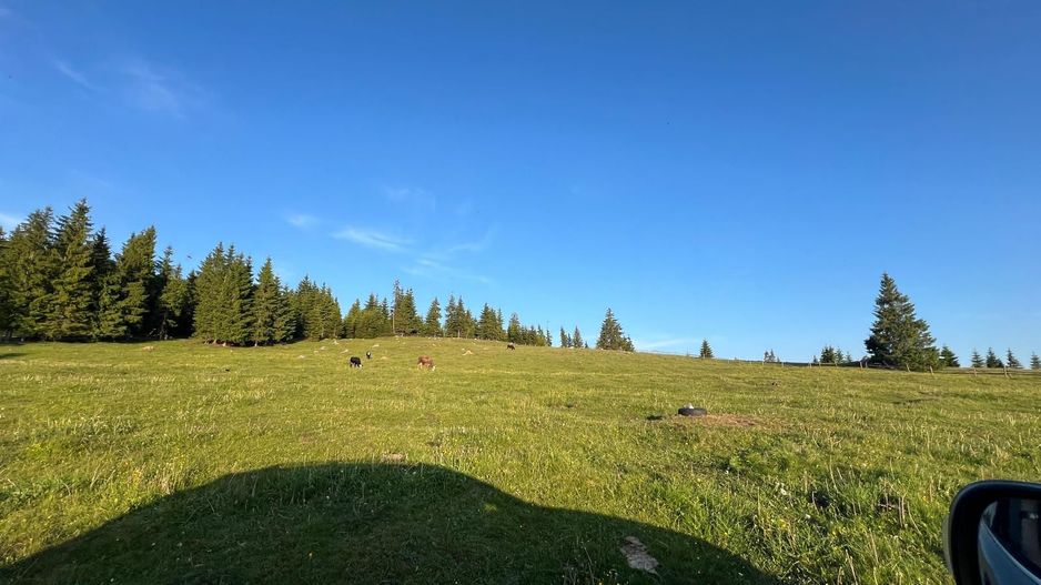 50 hectare teren | Moldova-Sulita | Potential turistic si agricol - Poză 2