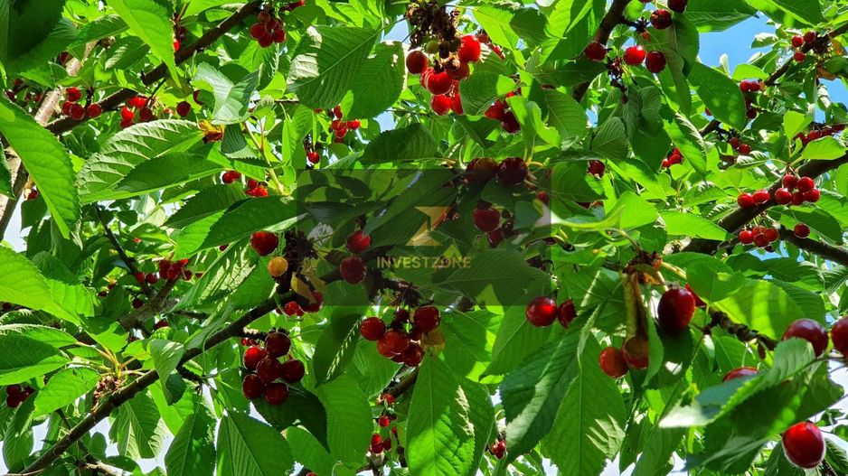 Teren cu utilități 2052 mp - Oradea - str. Făgetului - Poză 14