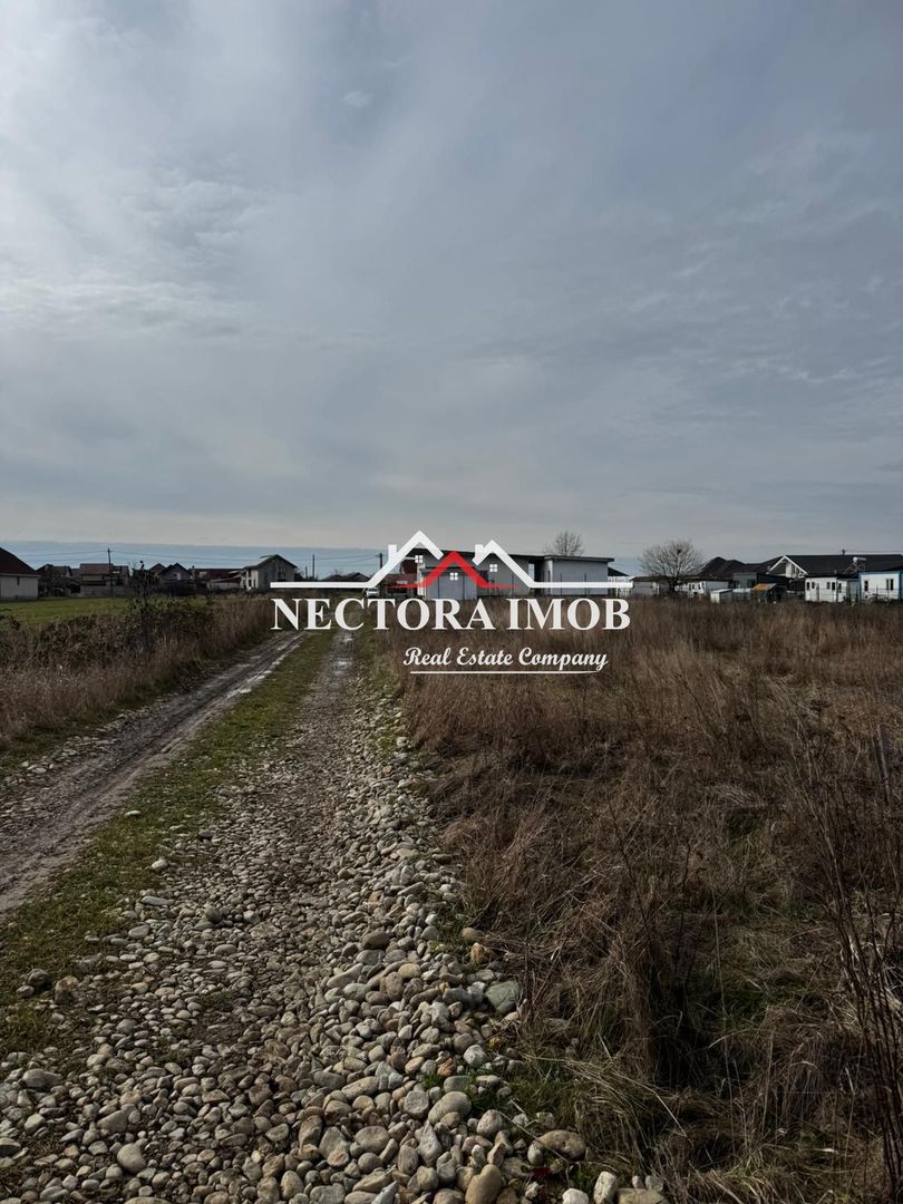 NECTORA IMOB-Teren Intravilan Zona Cihei,512 mp, Utilitati,Str.Privata - Poză 2