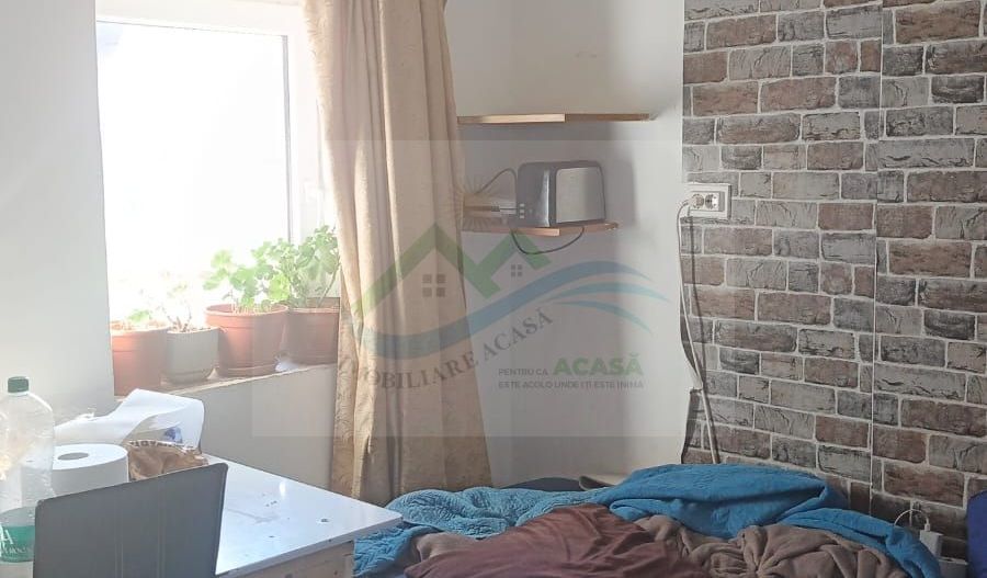 Casa de vânzre Ilișești . - Poză 18