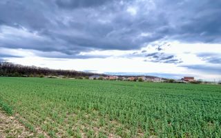 Teren premium 4000 mp – Cartier Grigorescu - Poză 1