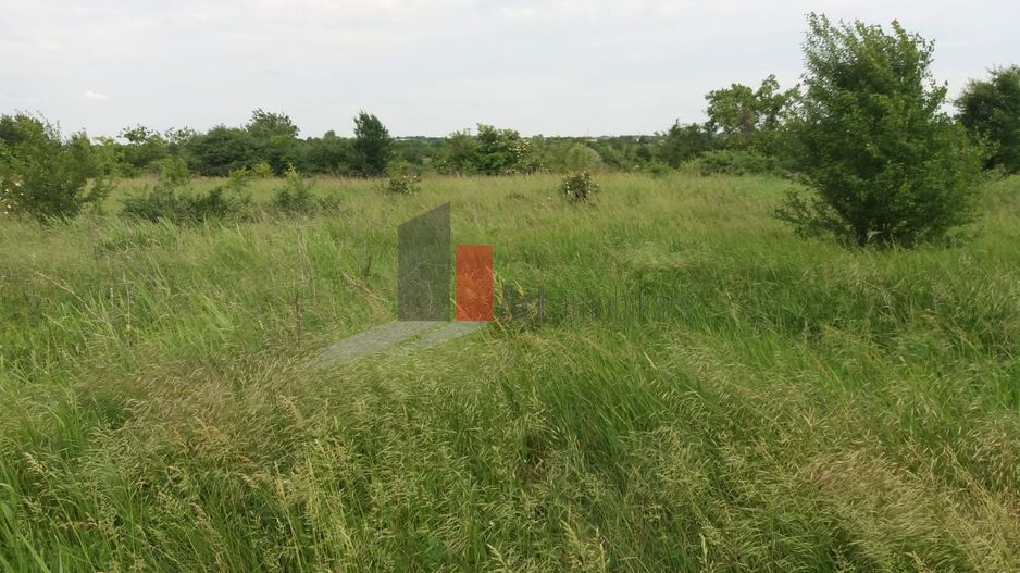 Teren Buftea cu iesire la lac - Poză 19