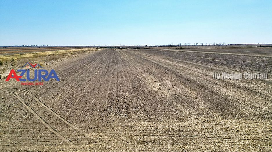 Teren agricol, 5HA, comasat, drum acces, Cateasca - Poză 7