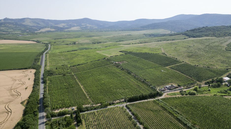 Vie Tradițională „Halta Lupilor” - Poză 28